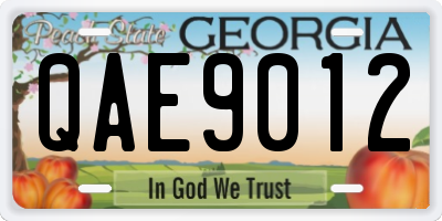 GA license plate QAE9012