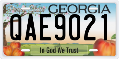 GA license plate QAE9021