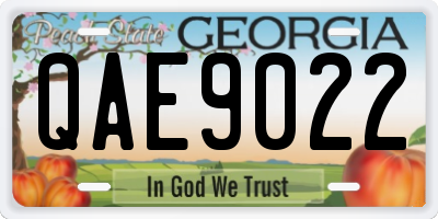 GA license plate QAE9022