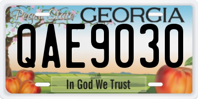 GA license plate QAE9030