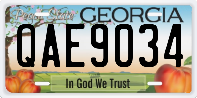 GA license plate QAE9034