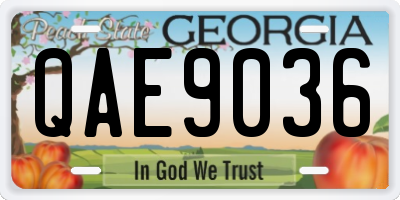 GA license plate QAE9036