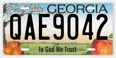 GA license plate QAE9042