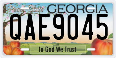 GA license plate QAE9045