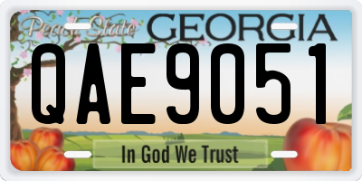 GA license plate QAE9051