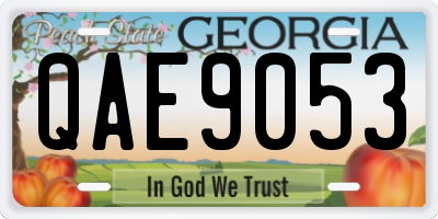 GA license plate QAE9053