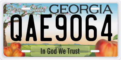 GA license plate QAE9064