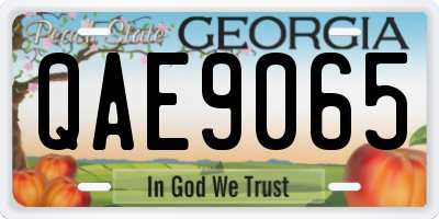 GA license plate QAE9065