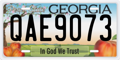 GA license plate QAE9073
