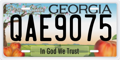 GA license plate QAE9075