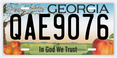 GA license plate QAE9076