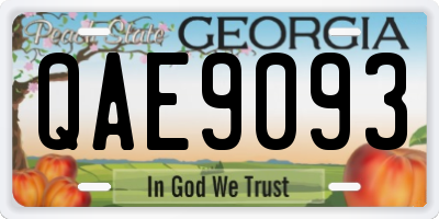 GA license plate QAE9093