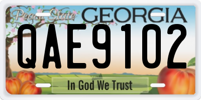 GA license plate QAE9102