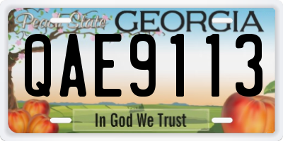 GA license plate QAE9113