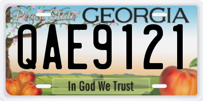 GA license plate QAE9121