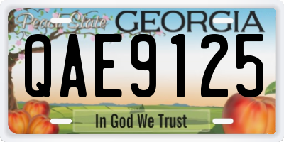 GA license plate QAE9125
