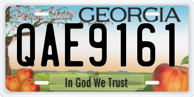 GA license plate QAE9161