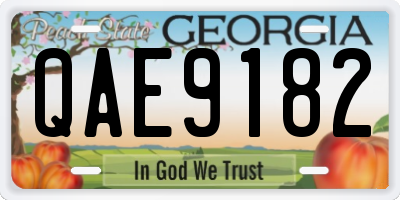 GA license plate QAE9182