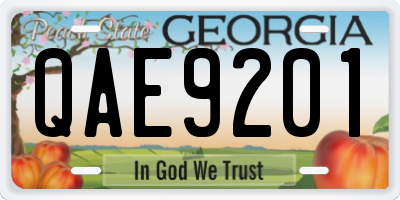 GA license plate QAE9201