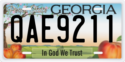GA license plate QAE9211