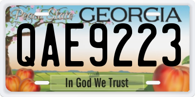 GA license plate QAE9223