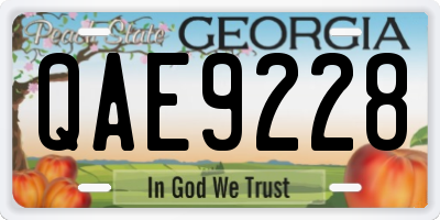 GA license plate QAE9228