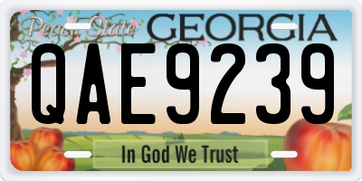 GA license plate QAE9239