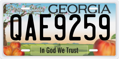 GA license plate QAE9259