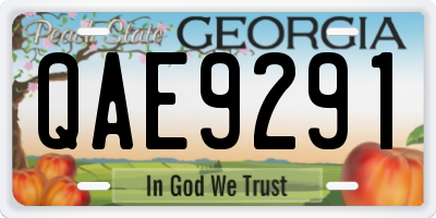 GA license plate QAE9291