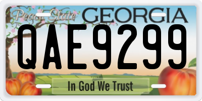 GA license plate QAE9299