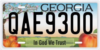 GA license plate QAE9300