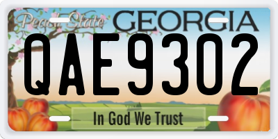 GA license plate QAE9302