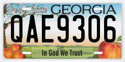 GA license plate QAE9306