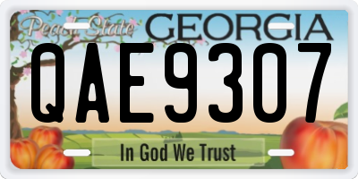 GA license plate QAE9307