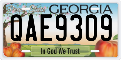 GA license plate QAE9309