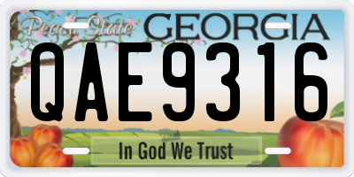 GA license plate QAE9316
