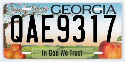 GA license plate QAE9317