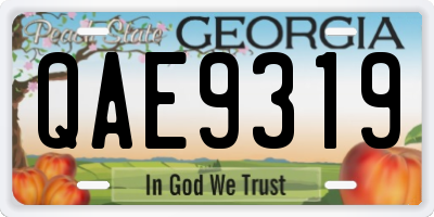 GA license plate QAE9319