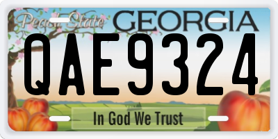 GA license plate QAE9324