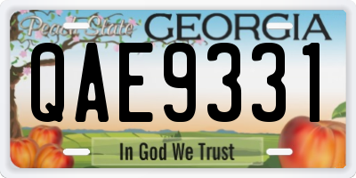 GA license plate QAE9331