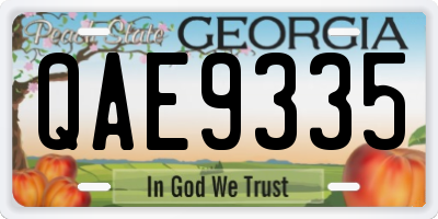 GA license plate QAE9335