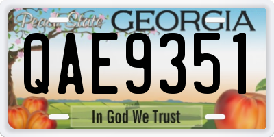 GA license plate QAE9351