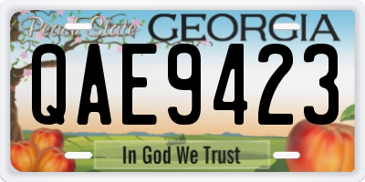 GA license plate QAE9423