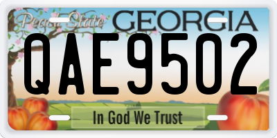 GA license plate QAE9502