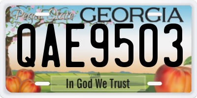 GA license plate QAE9503