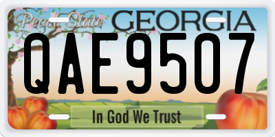 GA license plate QAE9507