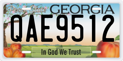 GA license plate QAE9512