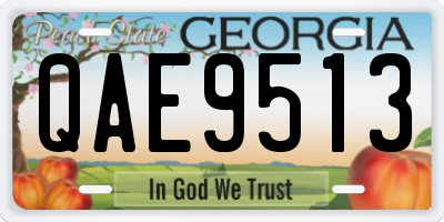 GA license plate QAE9513