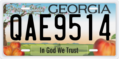 GA license plate QAE9514