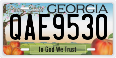 GA license plate QAE9530